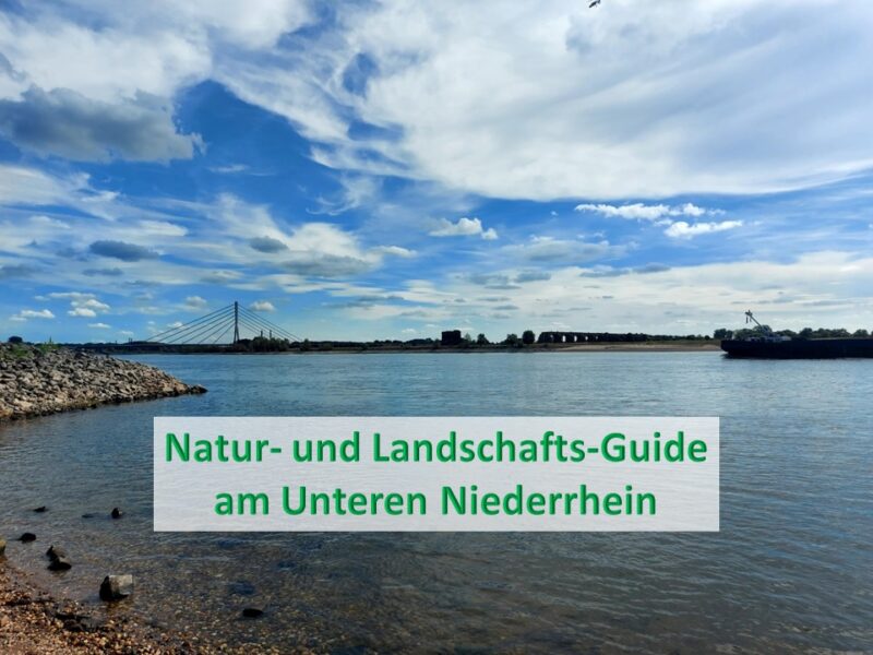 Natur- und Landschafts-Guide Sabine Josten